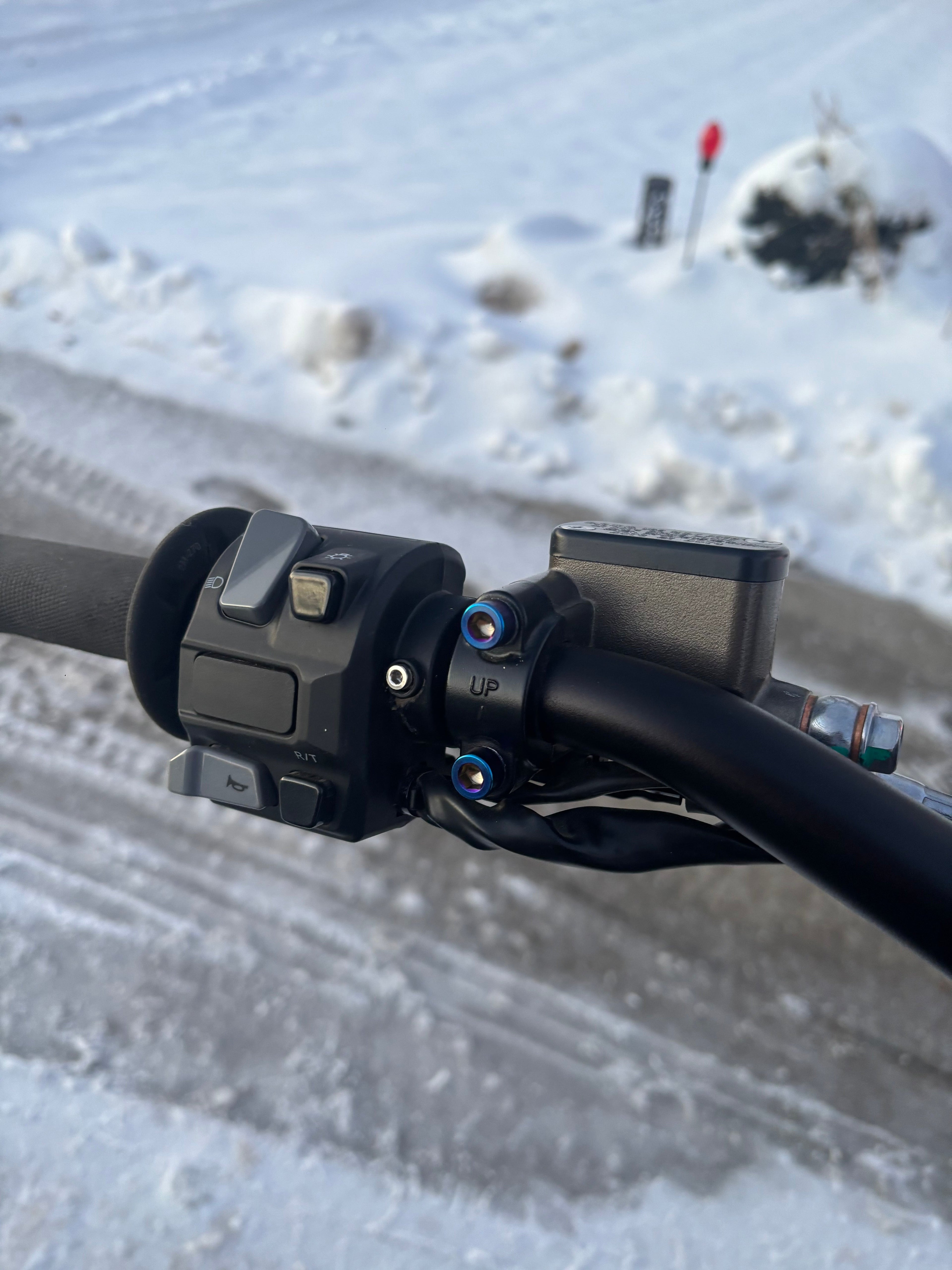 Ultra Bee Brake Mount Titanium Bolts (set of 2)